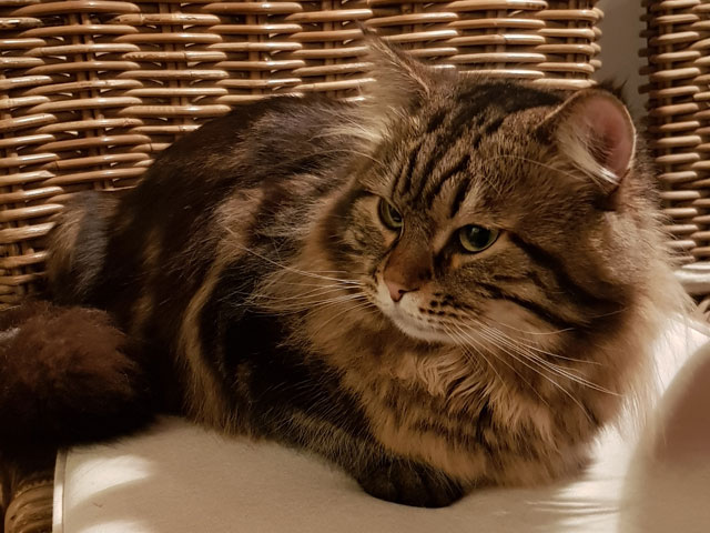 Sebastian